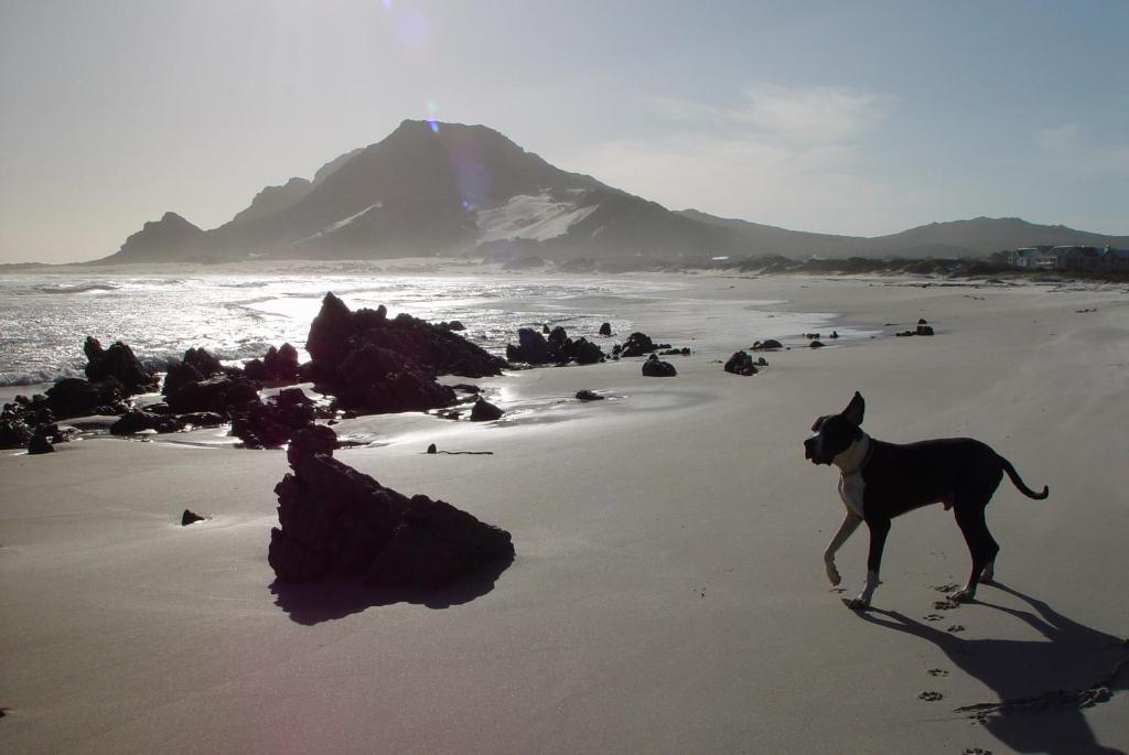 Jack'S Seaview Inn Bettyʼs Bay Exteriör bild